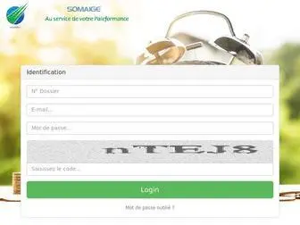 Somaige.pro(Identification) Screenshot