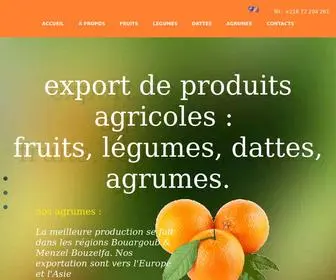 Somecopa-Elizdihar.com(Export de produits agricoles) Screenshot