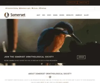 Somersetbirding.org.uk(Somerset Ornithological Society) Screenshot