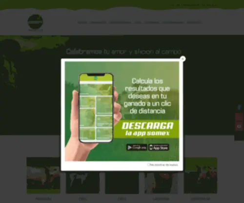 Somexnutricion.com(Proveedor de sales mineralizadas para ganaderia) Screenshot