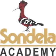 Sondela-Academy.co.za Favicon