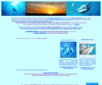 Songofhome.com(Wild Dolphin Swims) Screenshot