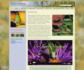 Songsofinsects.com(Our Insects Musicians) Screenshot