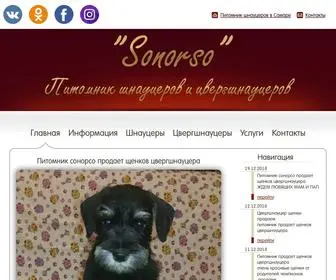 Sonorso.ru(Питомник шнауцеров и цвергшнауцеров SONORSO в Самаре) Screenshot