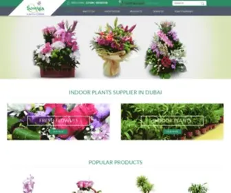 Sonyaflowers.com(Indoor Plant Supplier in Dubai) Screenshot