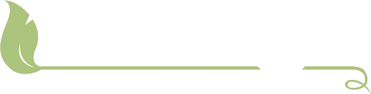 Soothingdental.net Favicon