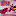 Sophieellisbextor.net Favicon