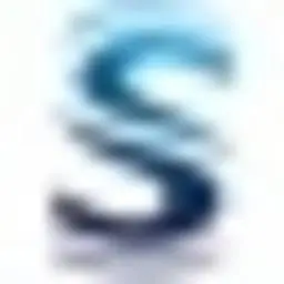 Soranavw.com.br Logo