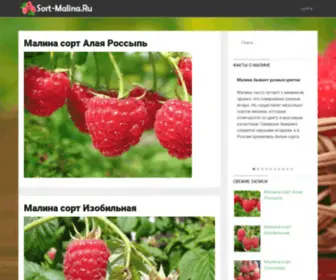 Sort-Malina.ru(Малина) Screenshot