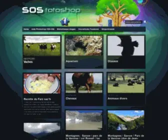 Sos-Totoshop.com(Sos-totoshop ) Screenshot