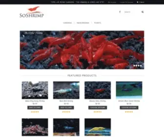 Soshrimp.com(Quality Aquarium Shrimp) Screenshot