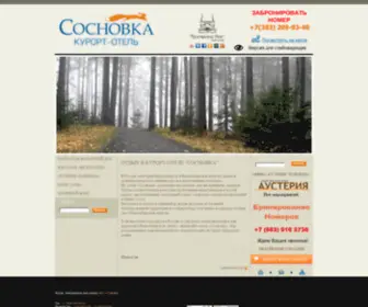 SosnovKa.biz(Сосновка) Screenshot