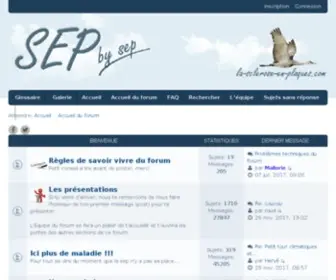 Sospc-EN-Ligne.com(Dépannage en Ligne) Screenshot