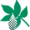 Sourcetech.com.br Favicon