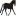 Southfloridadressageassociation.org Favicon