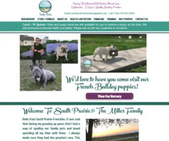 Southprairiefrenchies.com(French Bulldog Breeder) Screenshot