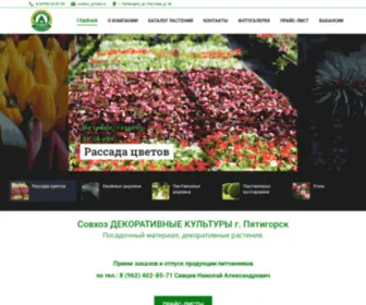 Sovhozdk.ru(Главная) Screenshot