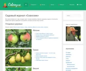 Sovhozik.ru(Читайте садовый журнал "Совхозик") Screenshot