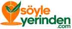 Soyleyerinden.com Logo