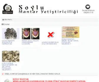 Soylumantar.net(Soylumantar) Screenshot
