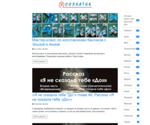 Soznatik.ru(IIS Windows Server) Screenshot