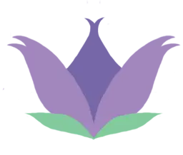 Spaaccessory.co.uk Favicon