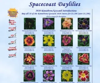 Spacecoastdaylilies.com(Spacecoast Daylilies by the Kinnebrew/Gossard) Screenshot