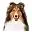 Spacecoastkennelclub.org Favicon