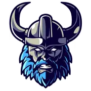 Spacevikingsllc.com Favicon