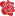 Sparklyroses.com Favicon