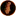 Sparkyguitar.com Favicon