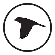 Sparrowdesignfirm.com Favicon