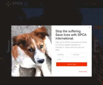 Spcai.org(SPCA International) Screenshot