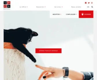 Spcamontreal.com(SPCA de Montréal) Screenshot