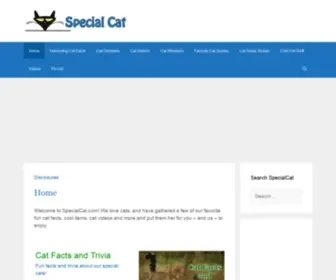 Specialcat.com(Special Cat .com) Screenshot