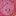 Specialneedsuk.org Favicon