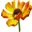 Specialperennials.com Logo