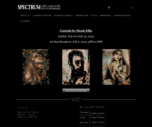 Spectrumphotogallery.org(Spectrum Art Gallery) Screenshot