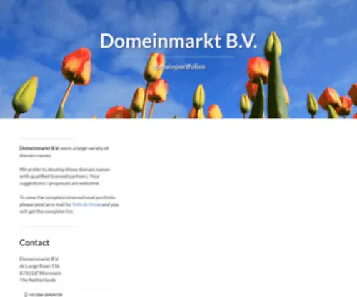 Spelen.com(Domeinmarkt B.V) Screenshot