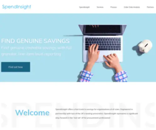 Spendinsight.com(Spend Analysis Provider) Screenshot