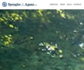 Spengleraganslaw.com(Charlotte Litigation Lawyers) Screenshot