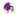 Sperochocolate.com Favicon