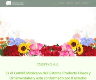 Spfo.com.mx(COMIT) Screenshot