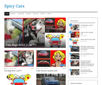 Spicycars.com(中国)股份有限公司) Screenshot