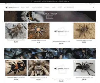 Spidersonline.pl(Spidersonline) Screenshot