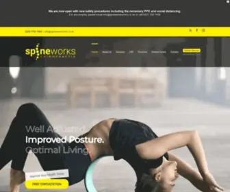 Spineworkschiro.co.uk(Chiropractic Care in Kennington London) Screenshot