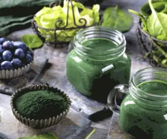 Spirulina.cz(řasa Spirulina) Screenshot