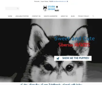 Splendidhuskies.com(Siberian puppies website) Screenshot