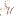 Spoiledmaltese.com Favicon