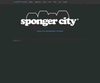 Spongercity.com(Bodyboarding media since day one) Screenshot